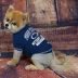 Penn State Nittany Lions NCAA T-Shirt image thumbnail 2