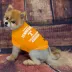 Tennessee Volunteers NCAA T-Shirt image thumbnail 2