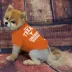 Texas Longhorns NCAA T-Shirt image thumbnail 2