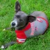 Ohio State Buckeyes NCAA Hoodie T-Shirt image thumbnail 2