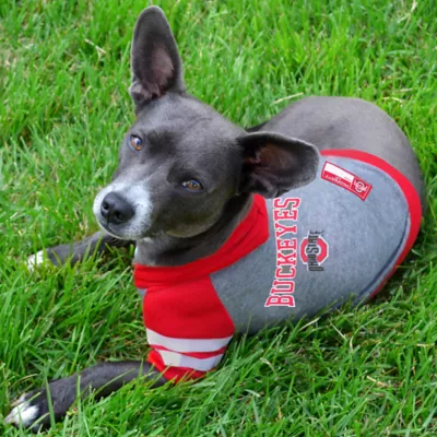 Product Ohio State Buckeyes NCAA Hoodie T-Shirt