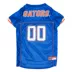 Florida Gators NCAA Jersey image thumbnail 1