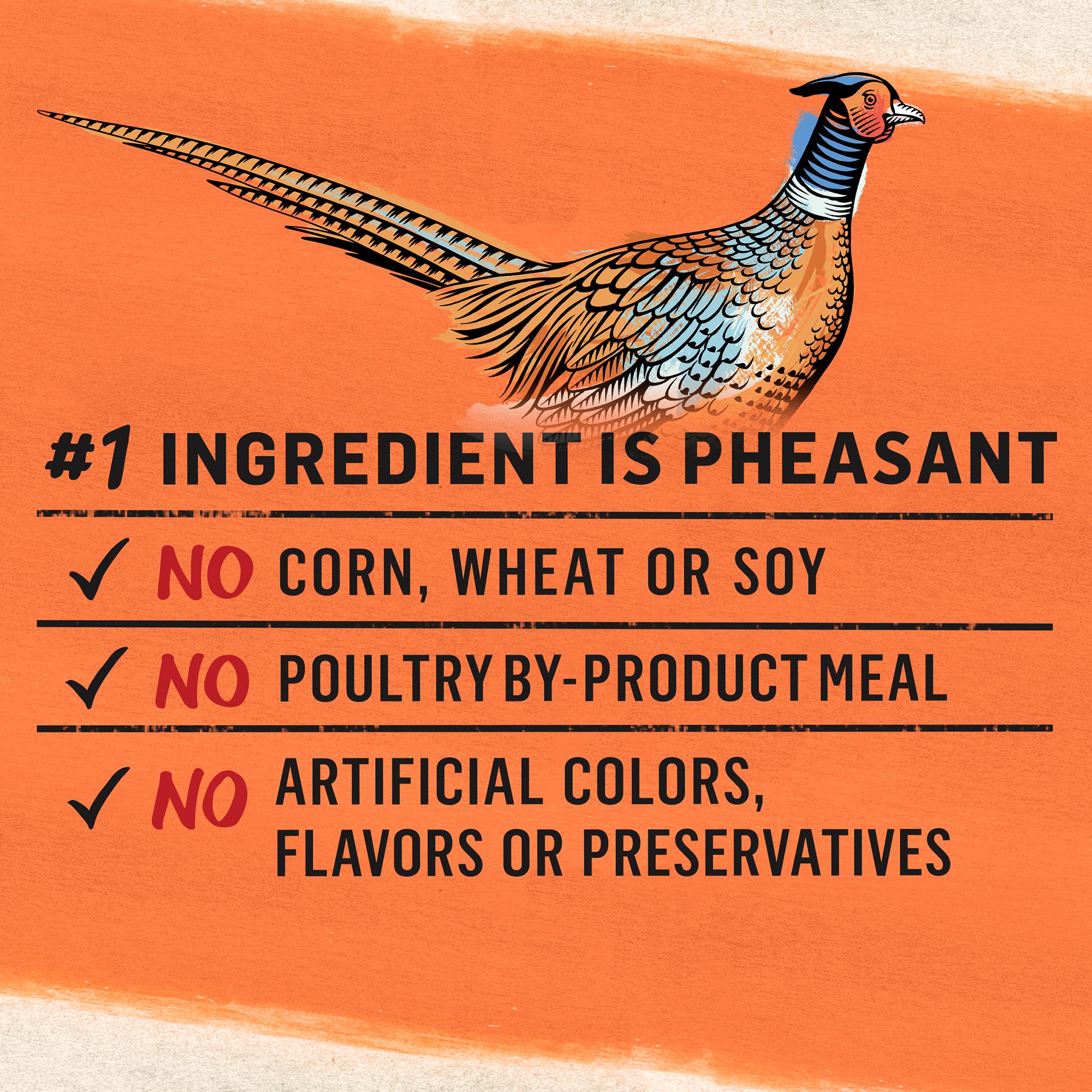 purina beyond dog food petsmart