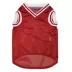 Indiana Hoosiers NCAA Mesh Pet Jersey image thumbnail 2