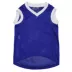 Kentucky Wildcats NCAA Mesh Pet Jersey image thumbnail 2