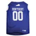 Kentucky Wildcats NCAA Mesh Pet Jersey image thumbnail 1