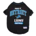 Detroit Lions NFL Team Tee image thumbnail 1