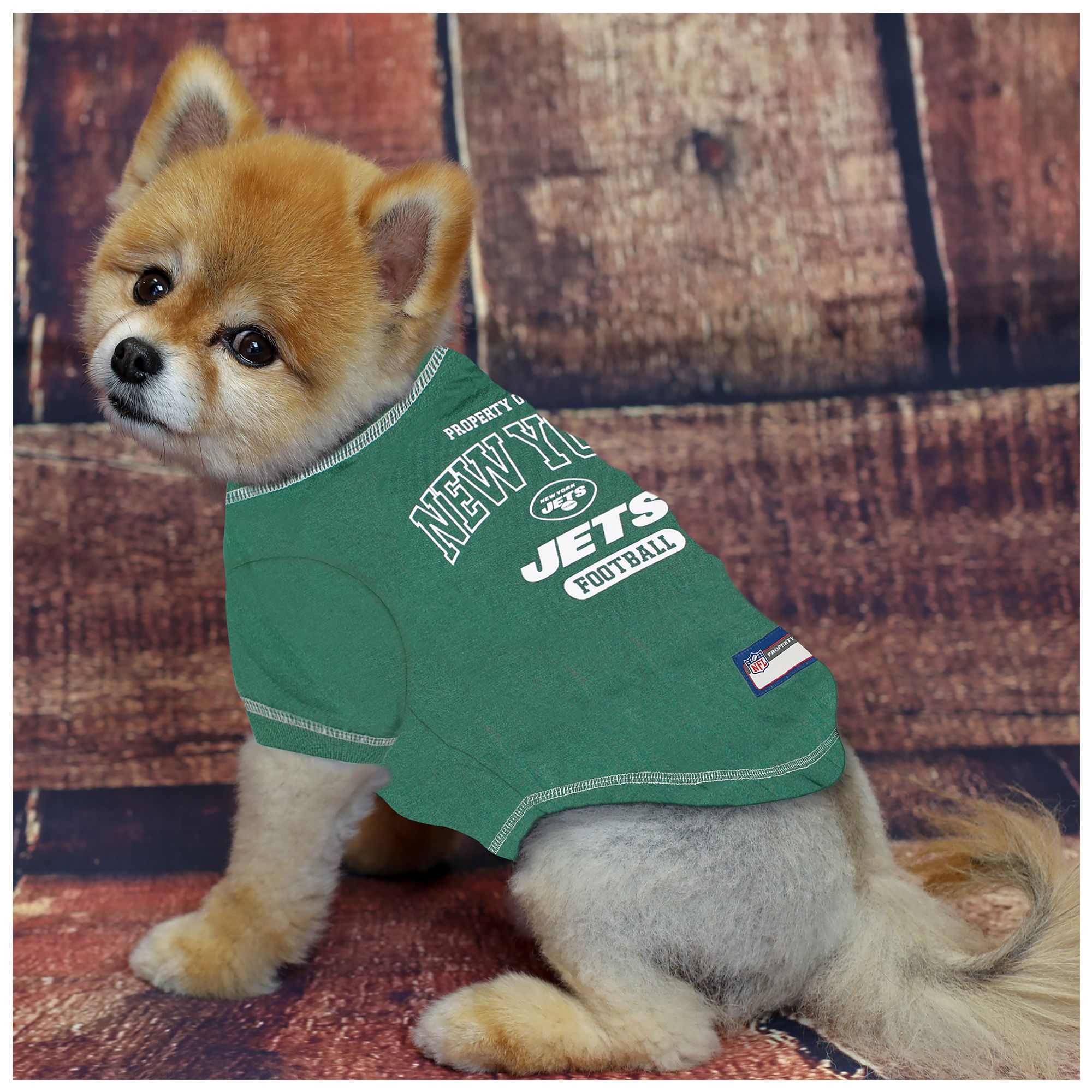 jets dog jersey