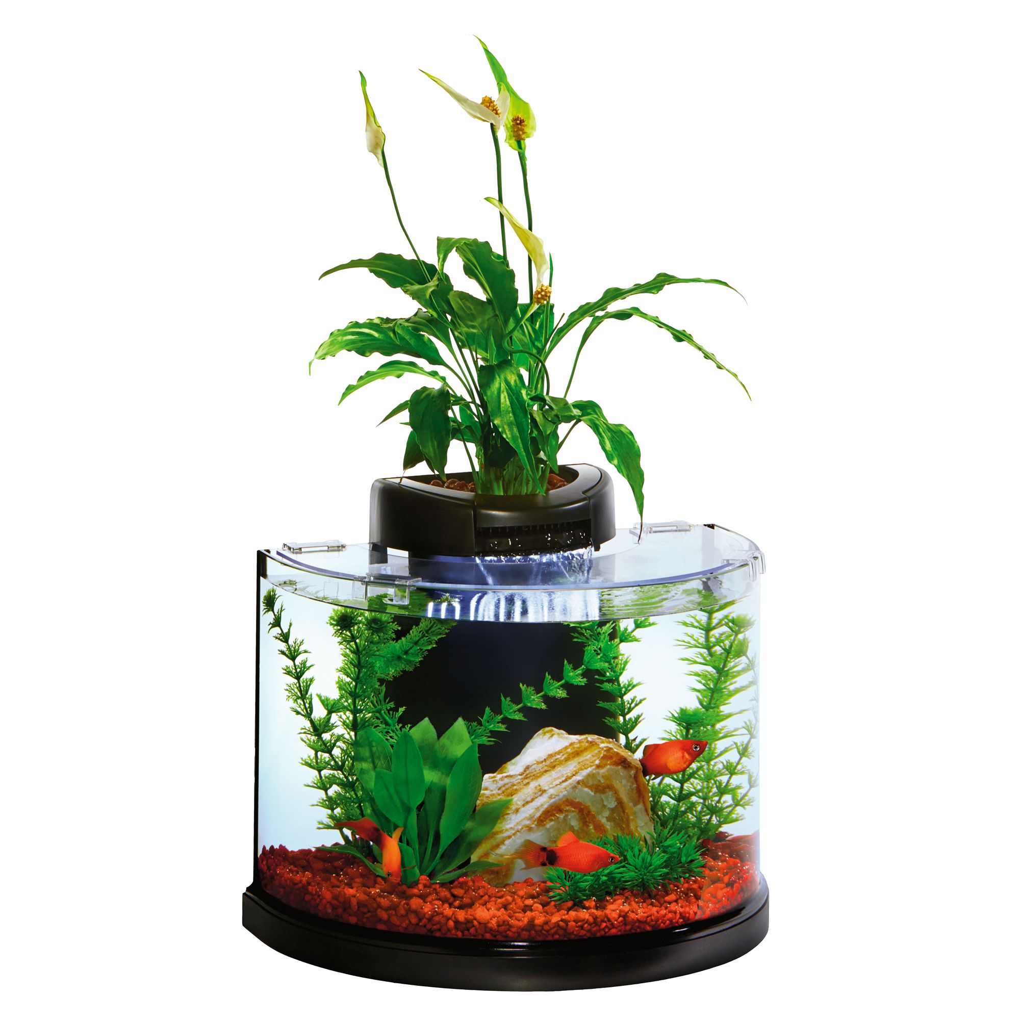 fish supplies: products & accessories for fish  petsmart