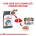 Royal Canin Feline Adult Dry Cat Food Care Nutrition, Weight Care image thumbnail 6