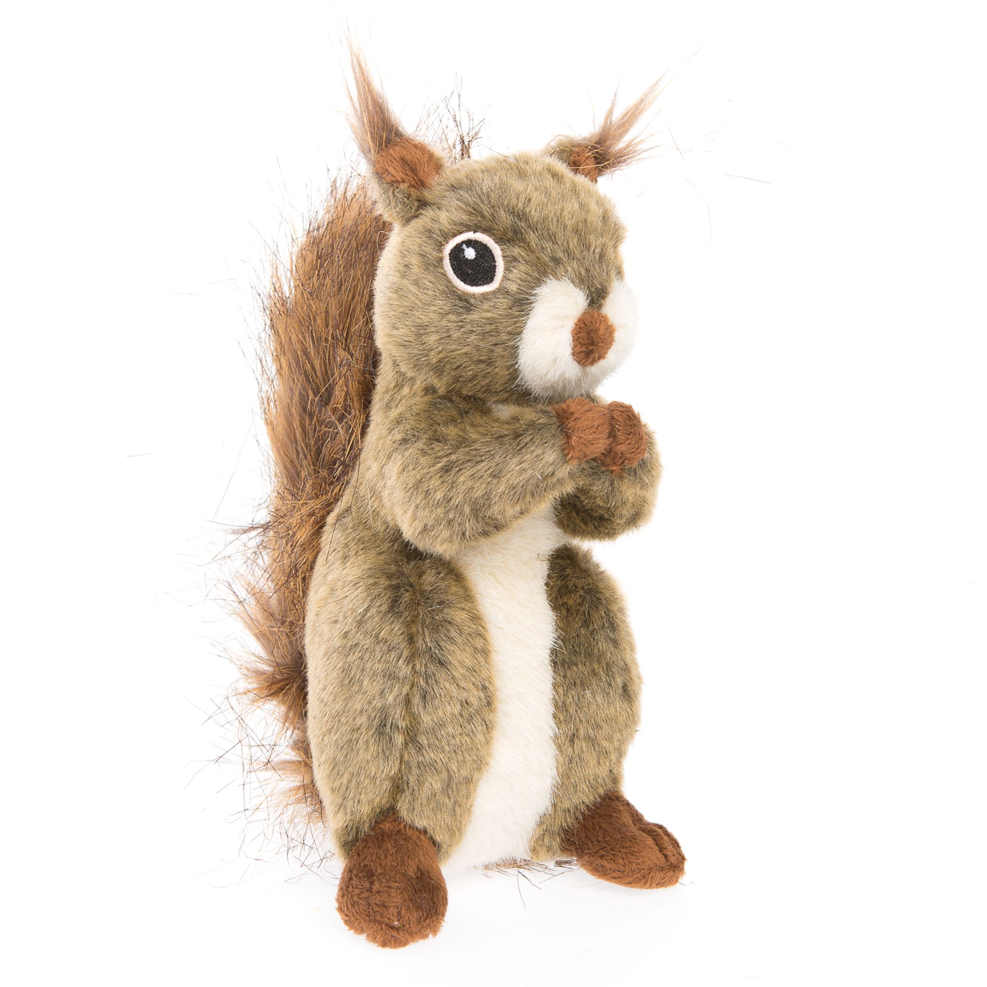 dog toy squirrel