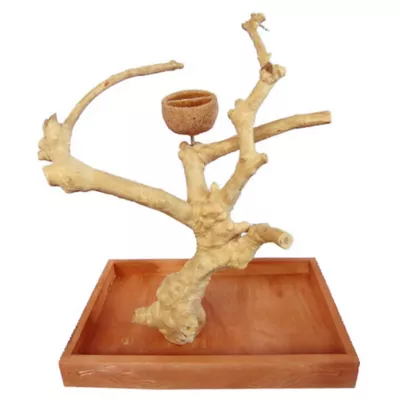 A&E Cage Company Java Wood Table Top Playstand - Image 1