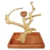 A&E Cage Company Java Wood Table Top Playstand image thumbnail 1