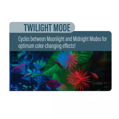 Product Glofish LED Light 20 Gal