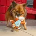 KONG® Floppy Knots Fox Dog Toy - Squeaker & Rope Toy image thumbnail 2