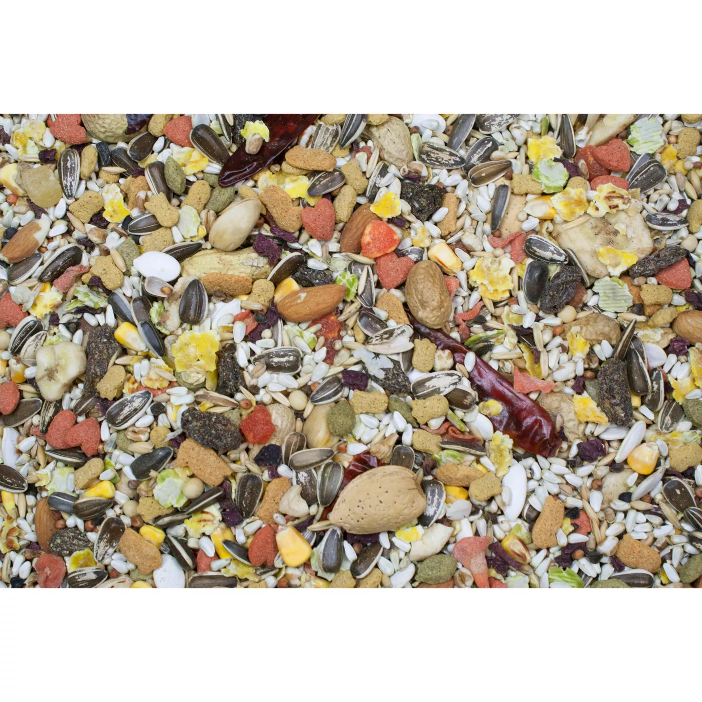 Higgins sunburst parrot food 25 lbs best sale