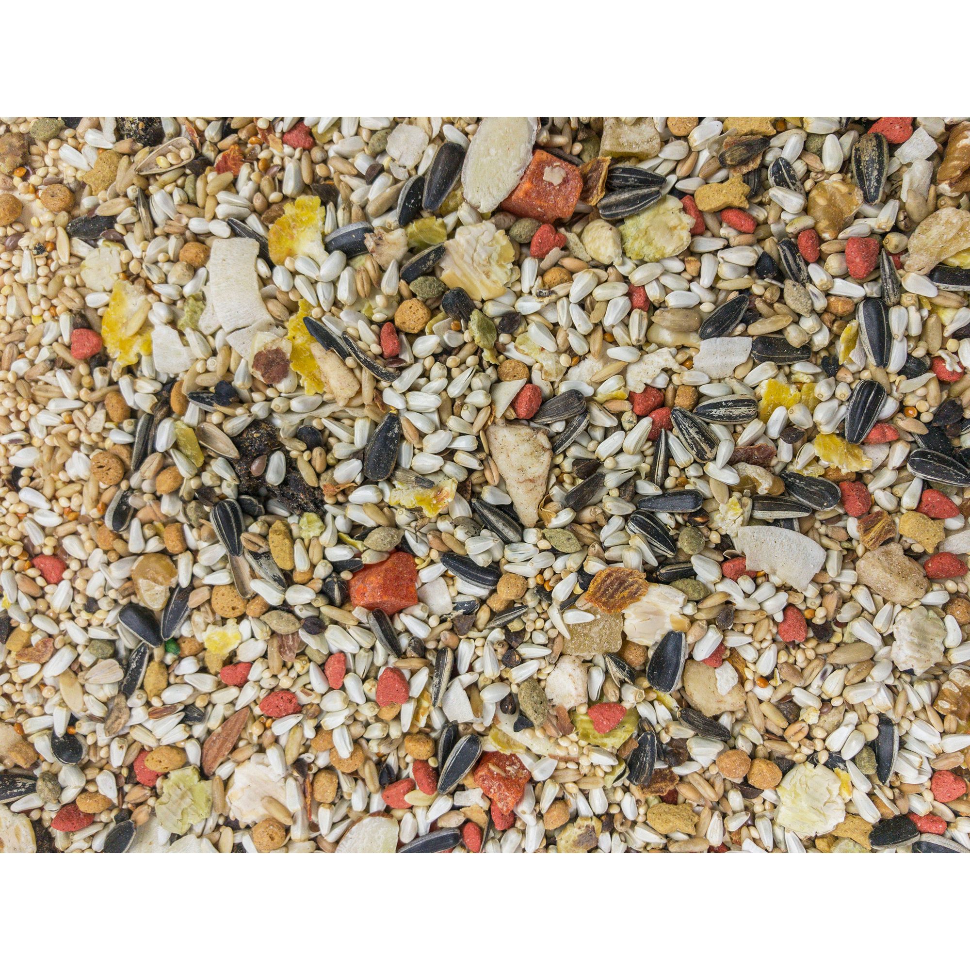 Higgins Sunburst Gourmet Blend Conure Food - Seed Blend - thumbnail 3
