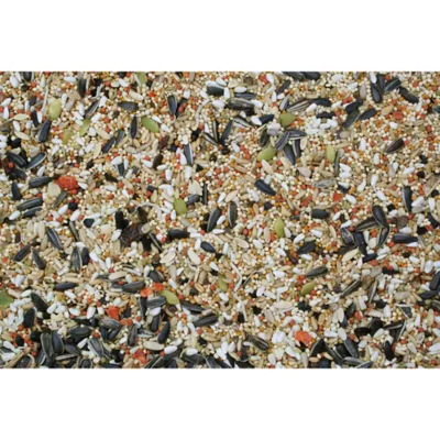 Product Higgins Sunburst Gourmet Blend Cockatiel Food