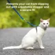 Product PetSafe® Come with Me Kitty Harness and Bungee Leash - Adjustable - Royal Blue