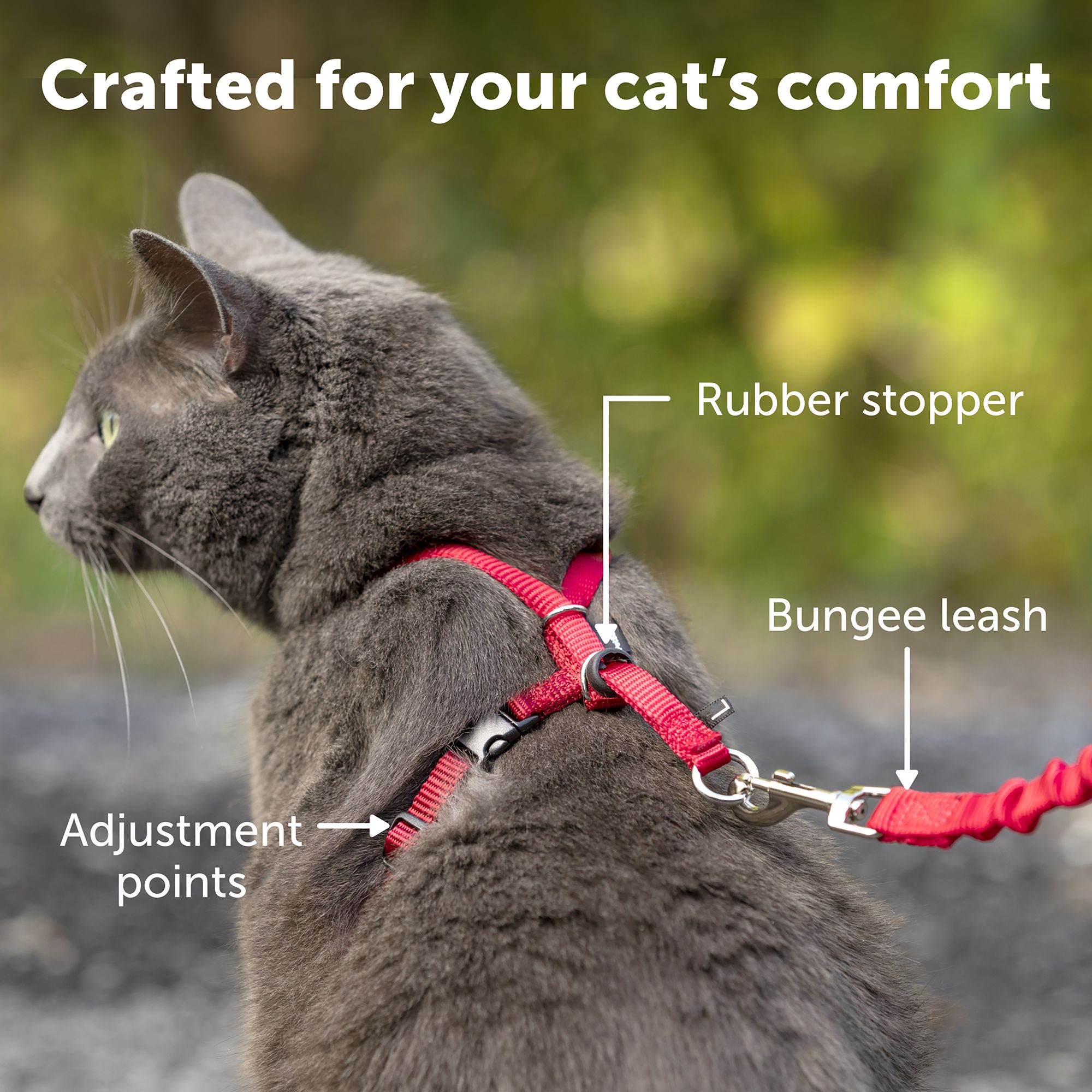 PetSafe Come with Me Kitty Harness and Bungee Leash Adjustable Royal Blue