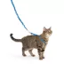 PetSafe® Come with Me Kitty Harness and Bungee Leash image thumbnail 1
