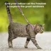 PetSafe® Come with Me Kitty Harness and Bungee Leash image thumbnail 2