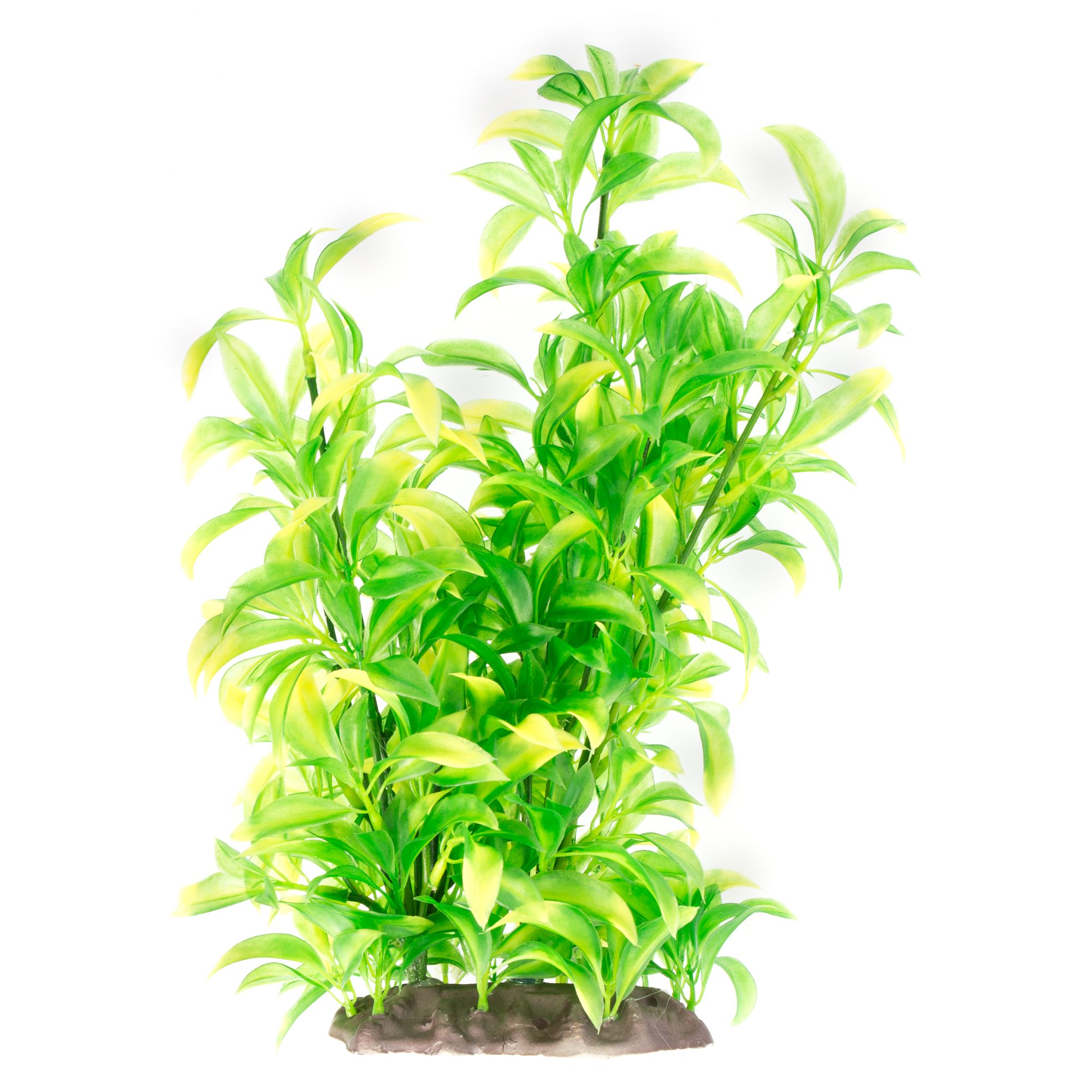 petsmart aquatic plants