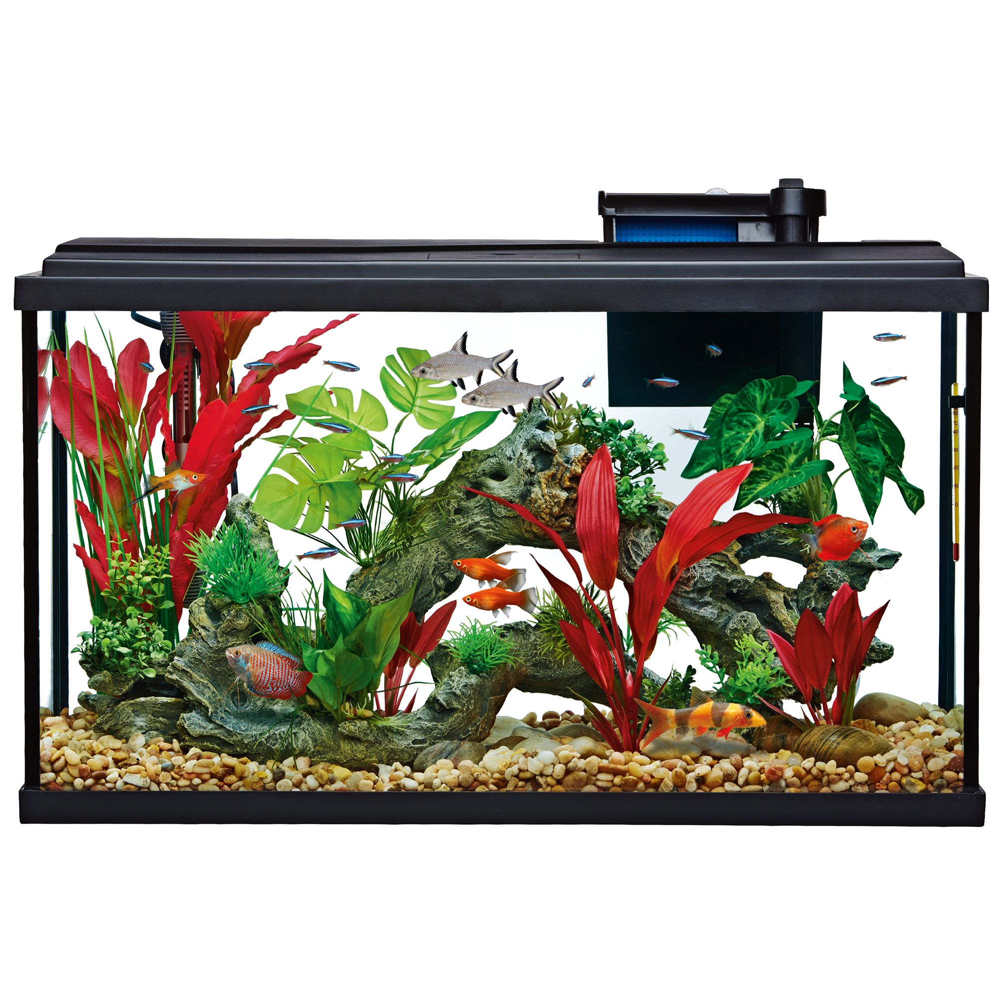 Top Fin® Essentials Aquarium Starter Kit Fish Starter Kits