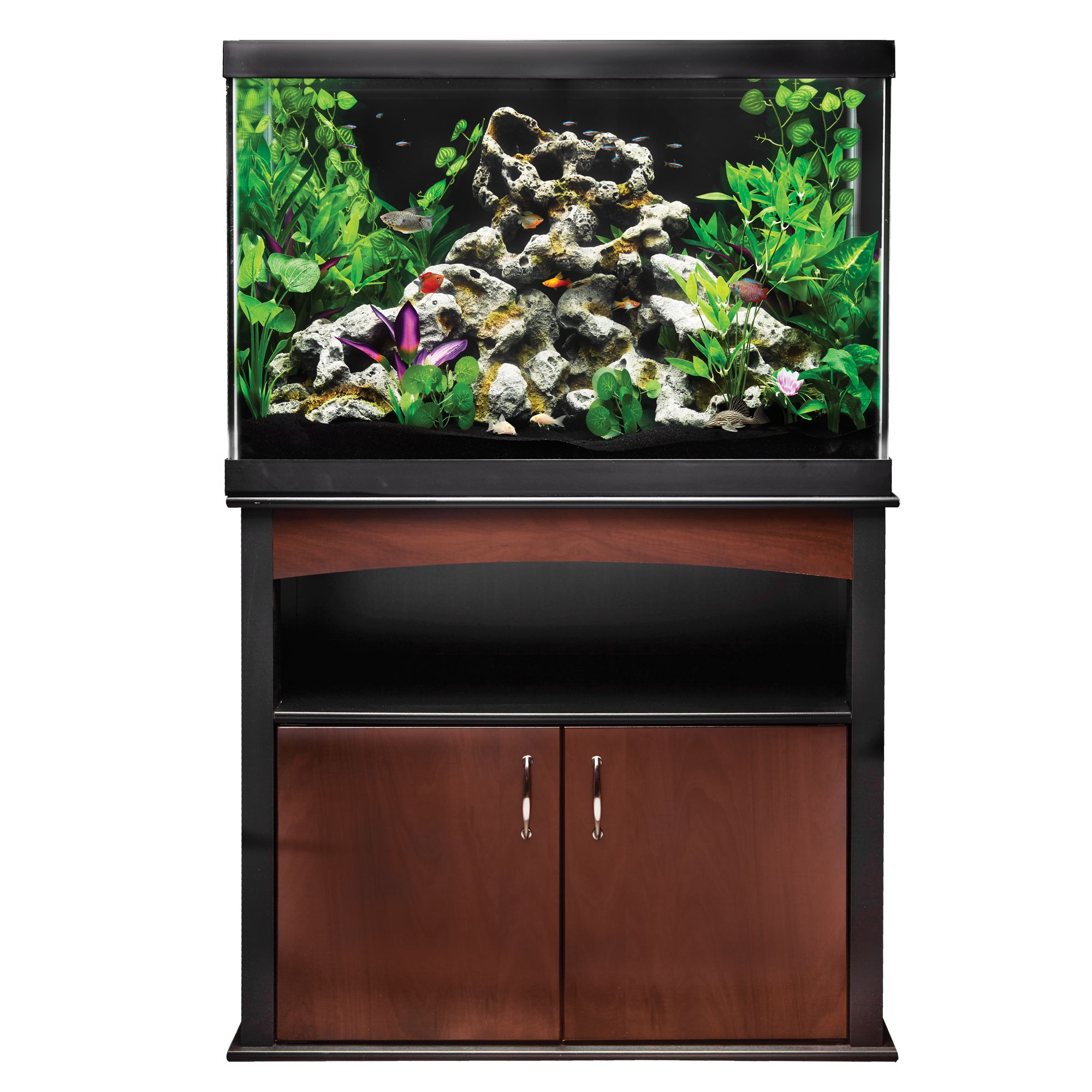 petco 65 gallon aquarium