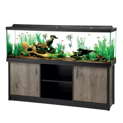 Petsmart aquariums and stands hotsell