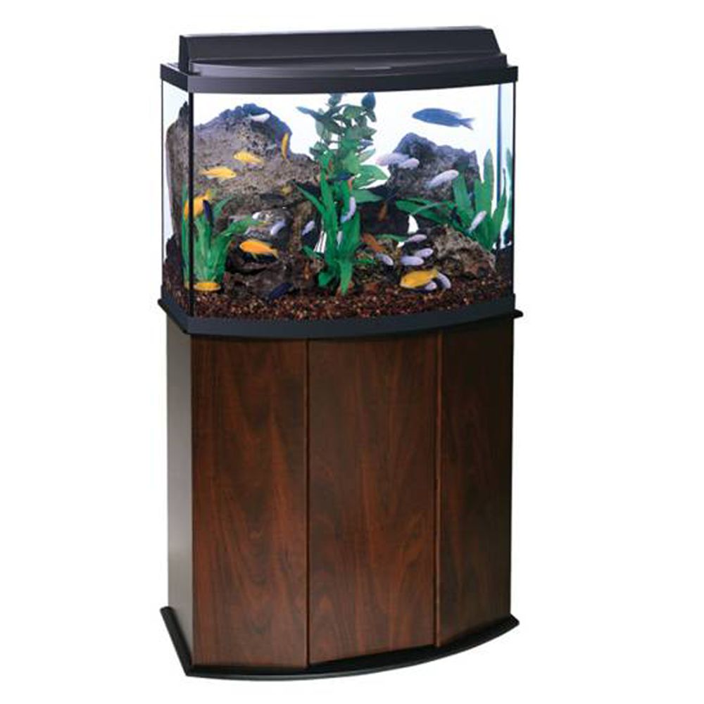 Aqueon® 36 Gallon LED Aquarium Ensemble 