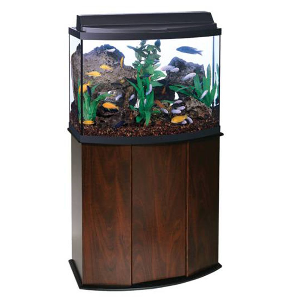 petsmart saltwater tank