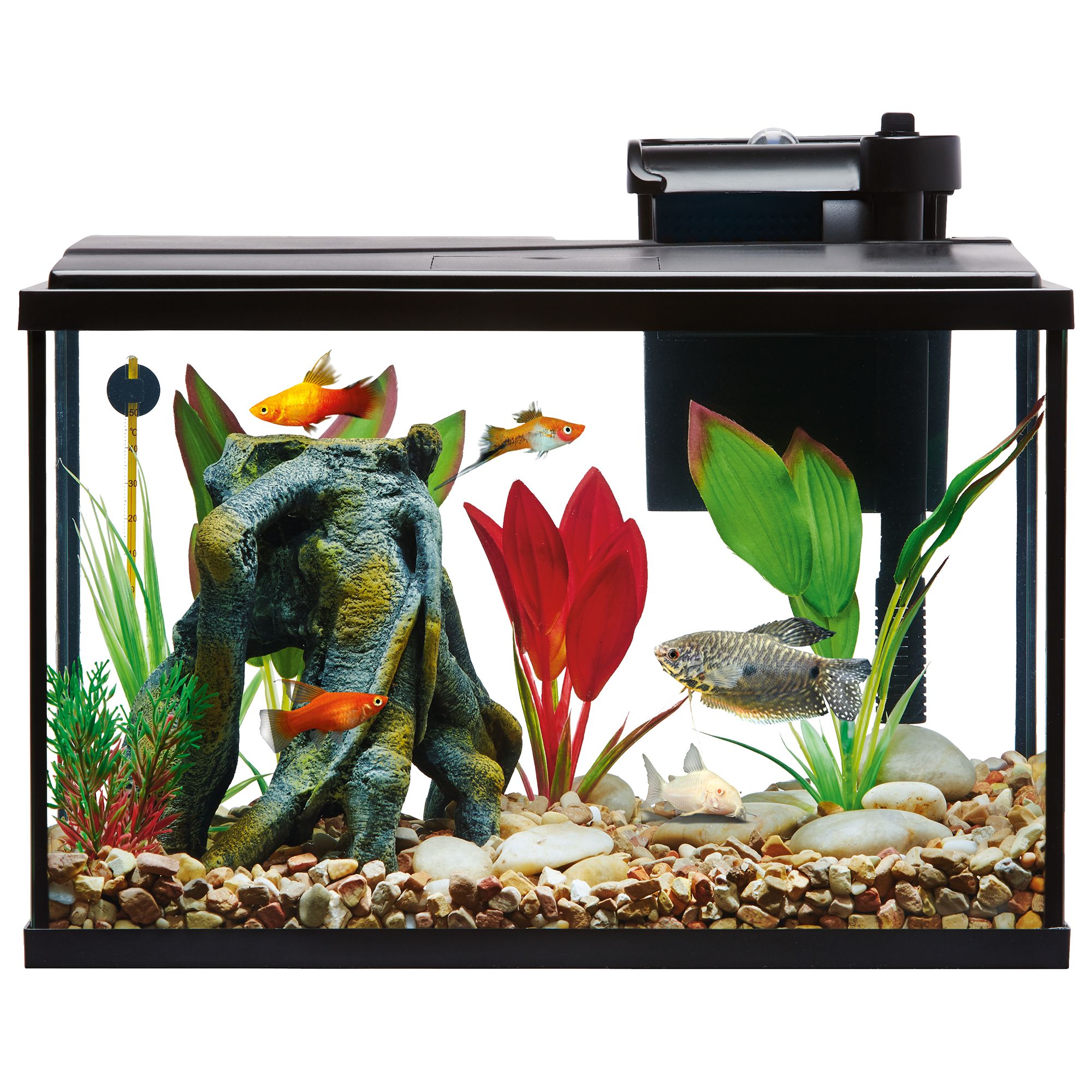 Petsmart top fin outlet 5 gallon