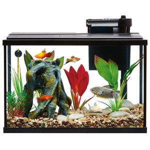 image of aquarium starter kit