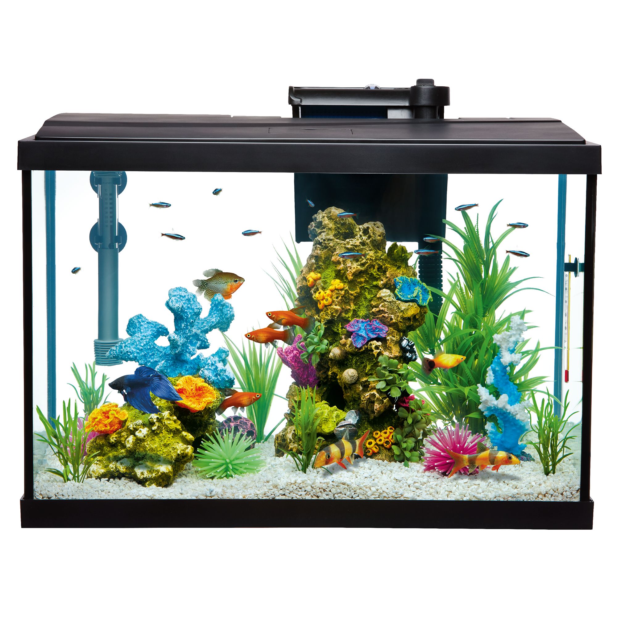 Top Fin Essentials Aquarium Starter Kit Fish Tanks PetSmart