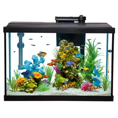 Petsmart 20 gallon fish tank best sale