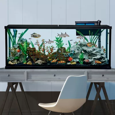 Petsmart 55 gallon aquarium best sale