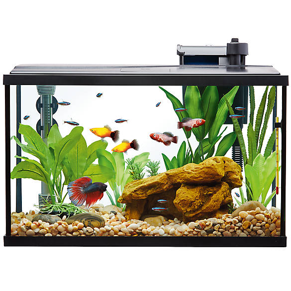 Top Fin Essentials Aquarium Starter, Lava Lamp Fish Tank Petsmart