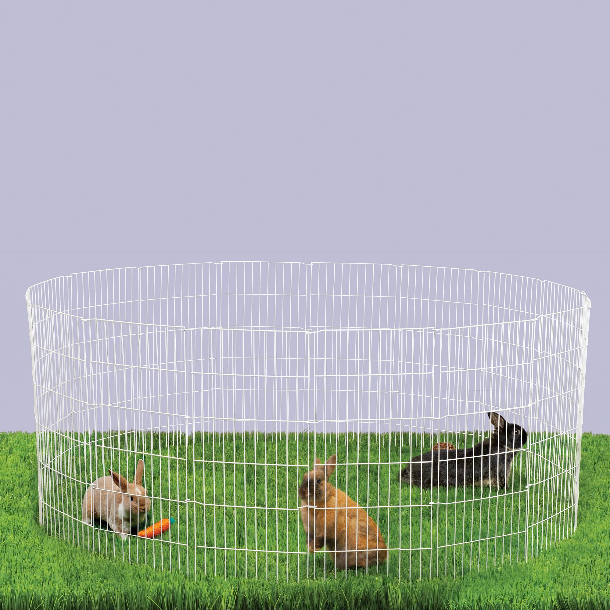 petsmart dog pen