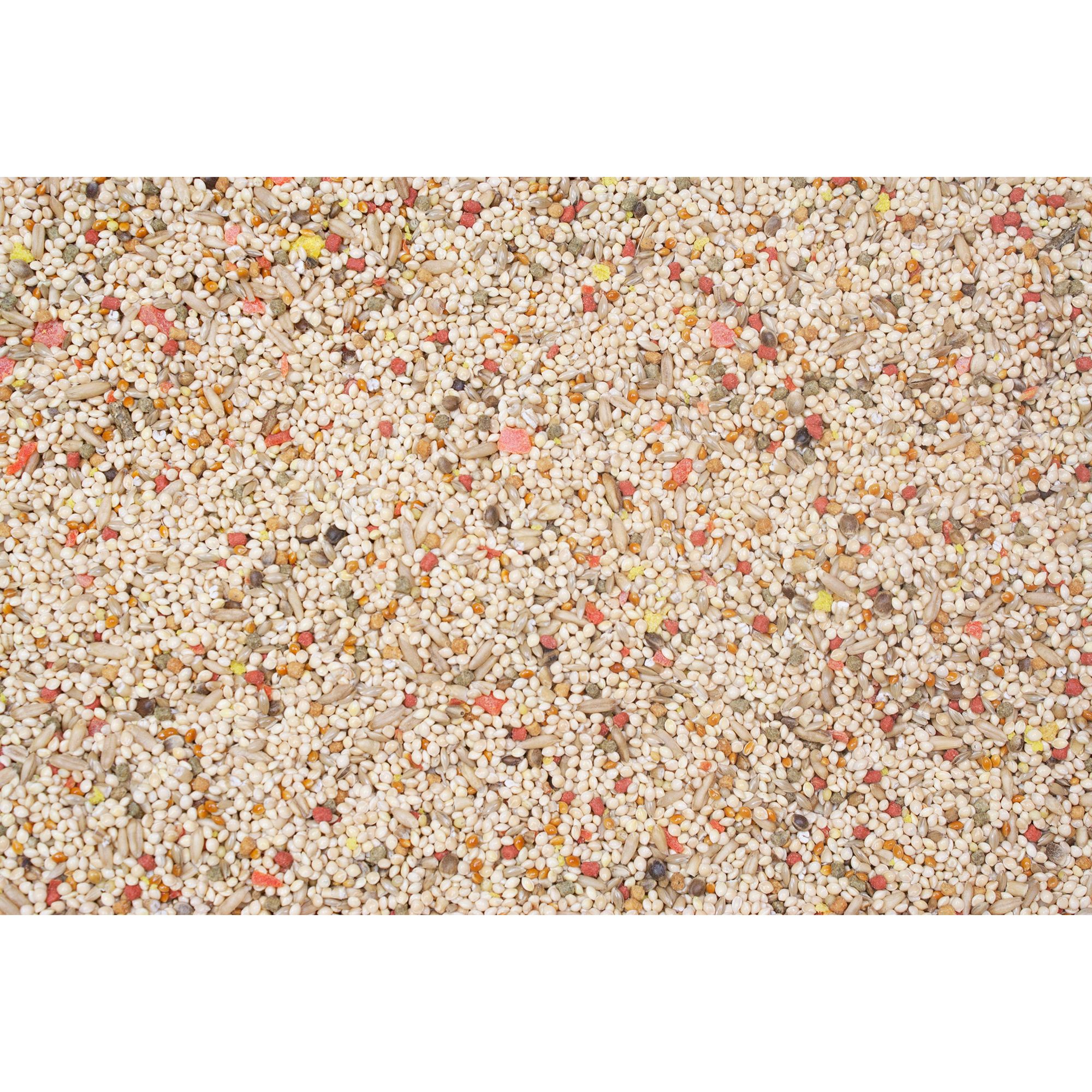 Higgins Vita Seed Parakeet Food - Seed Blend - thumbnail 3