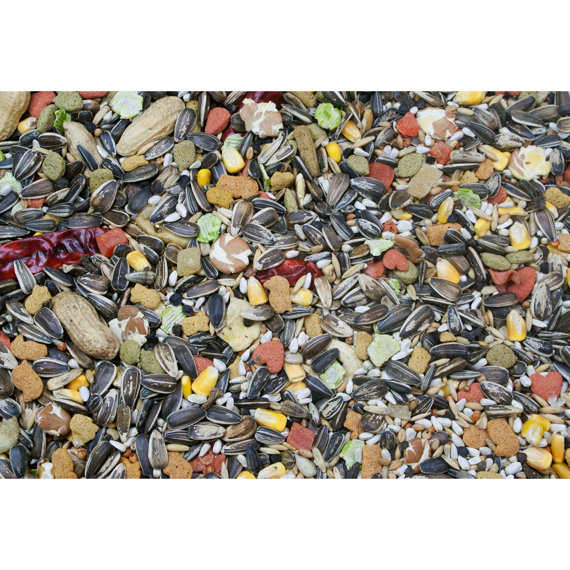 Higgins Vita Seed Parrot Food - Seed Blend - thumbnail 3