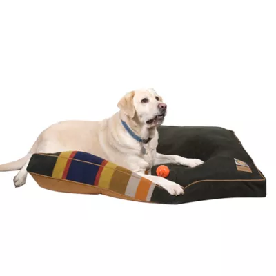 Product Pendleton National Park Badlands Mattress Dog Bed