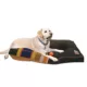 Product Pendleton National Park Badlands Mattress Dog Bed