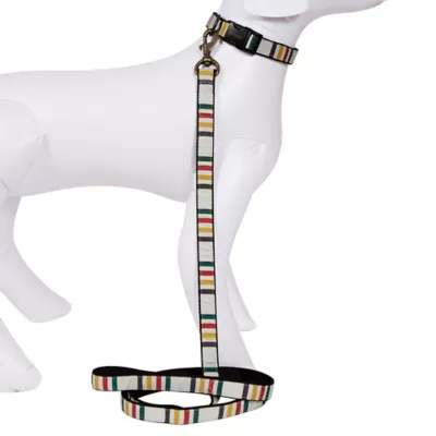 Product Pendleton National Park Glacier Park Hiker Dog Leash