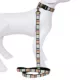 Product Pendleton National Park Glacier Park Hiker Dog Leash
