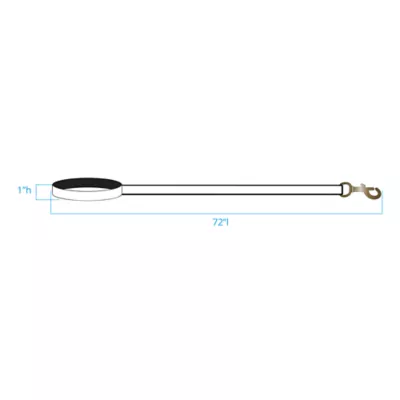 Product Pendleton National Park Glacier Park Hiker Dog Leash