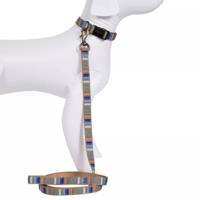 Product Pendleton National Park Rocky Mountain Hiker Dog Leash