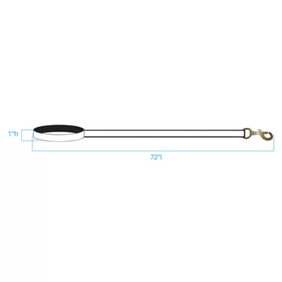 Product Pendleton National Park Rocky Mountain Hiker Dog Leash