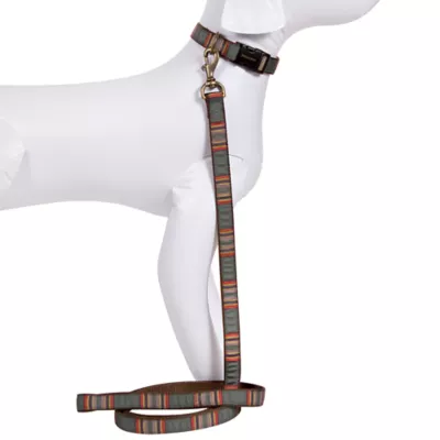 Product Pendleton Yakima Hiker Dog Leash