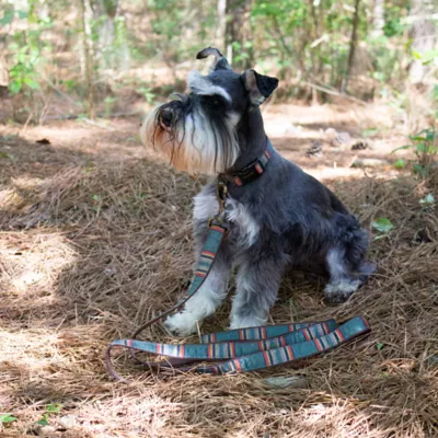 Product Pendleton Yakima Hiker Dog Leash